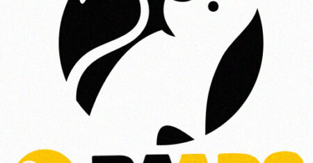 O que é Ratoeira Ads e Como Ela Ajuda Afiliados na Gringa