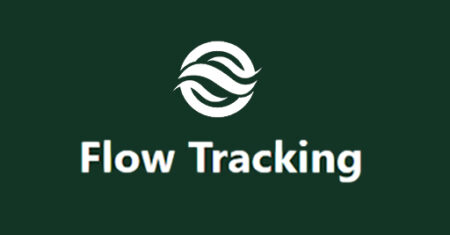 Flow Tracking Tool: Rastreio das Vendas na Gringa no Google Ads